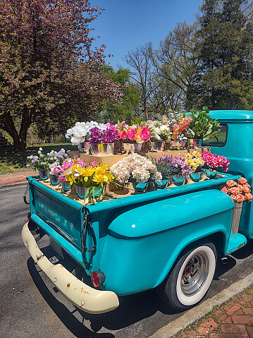 Old truck with flowers in the back at Seaflower community event